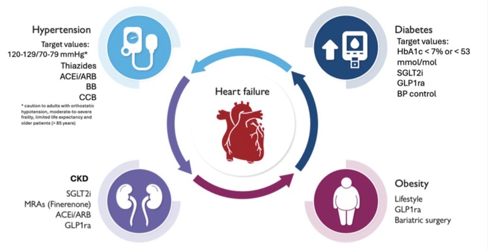 almucastro01's tweet photo. Tenemos deberes este domingo:
Recién publicado el documento de @escardio:

🫀Prevention of heart failure🫀

https://t.co/6MBV7K35lq https://t.co/TkucoQqi3g