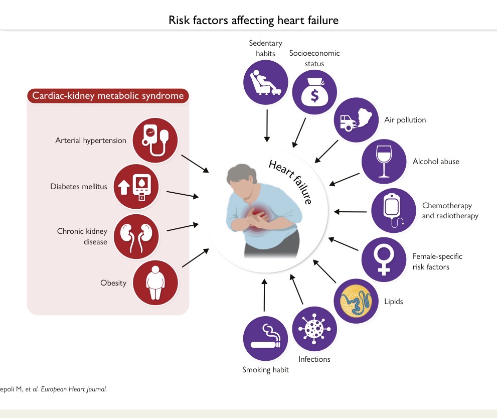 almucastro01's tweet photo. Tenemos deberes este domingo:
Recién publicado el documento de @escardio:

🫀Prevention of heart failure🫀

https://t.co/6MBV7K35lq https://t.co/TkucoQqi3g