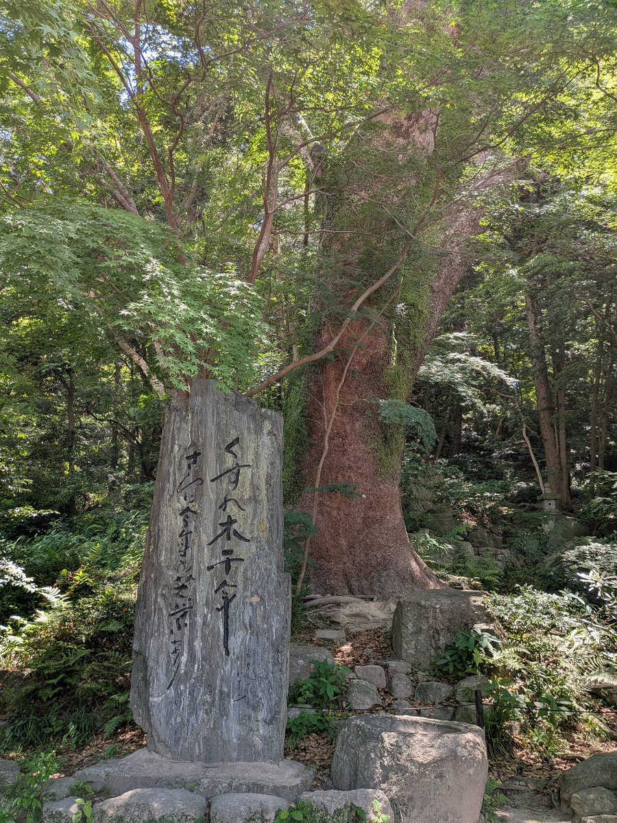 亘理 tweet media