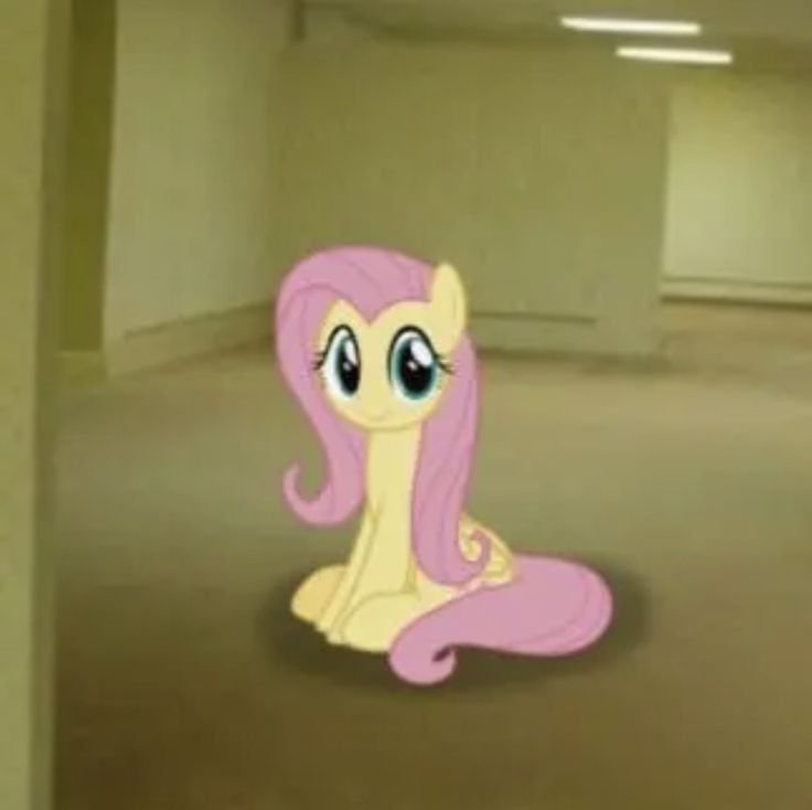 FlutterGoy tweet media