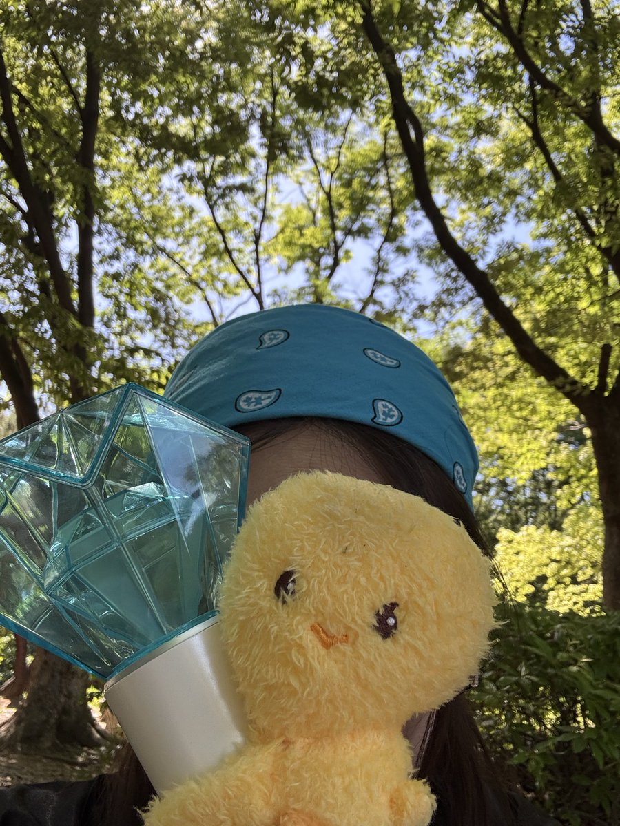 sachie_6v6 tweet media