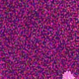 JohnDelph7's tweet photo. Day 1 of 6

I found https://t.co/pcfss8rLbS Fragment 9CF4-7385-1E6D

Help the community restore today's teaser

#FNGGShattered https://t.co/LsG6RJNKOg