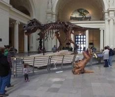 dinoincrisis's tweet photo. mon familia https://t.co/wI0SVh2TK0