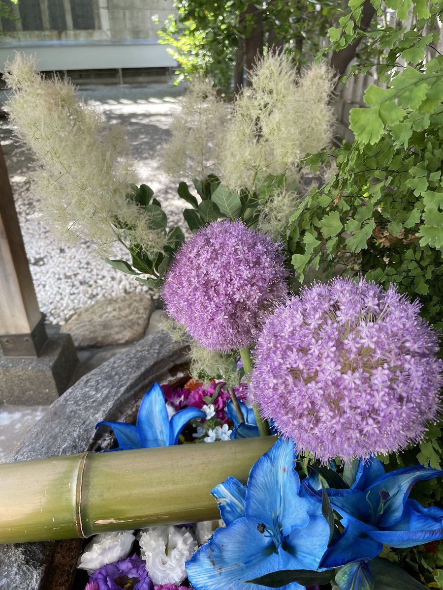 MotomishimaS's tweet photo. いつもご崇敬戴きありがとうございます
水無月の花手水です
6月30日午後6時より夏越し大祓を斎行いたします
皆さまのご参拝を心よりお待ち申し上げております

#元三島神社　#花手水　#水城流
#大祓　#夏越しの大祓 https://t.co/iIysFXQAij