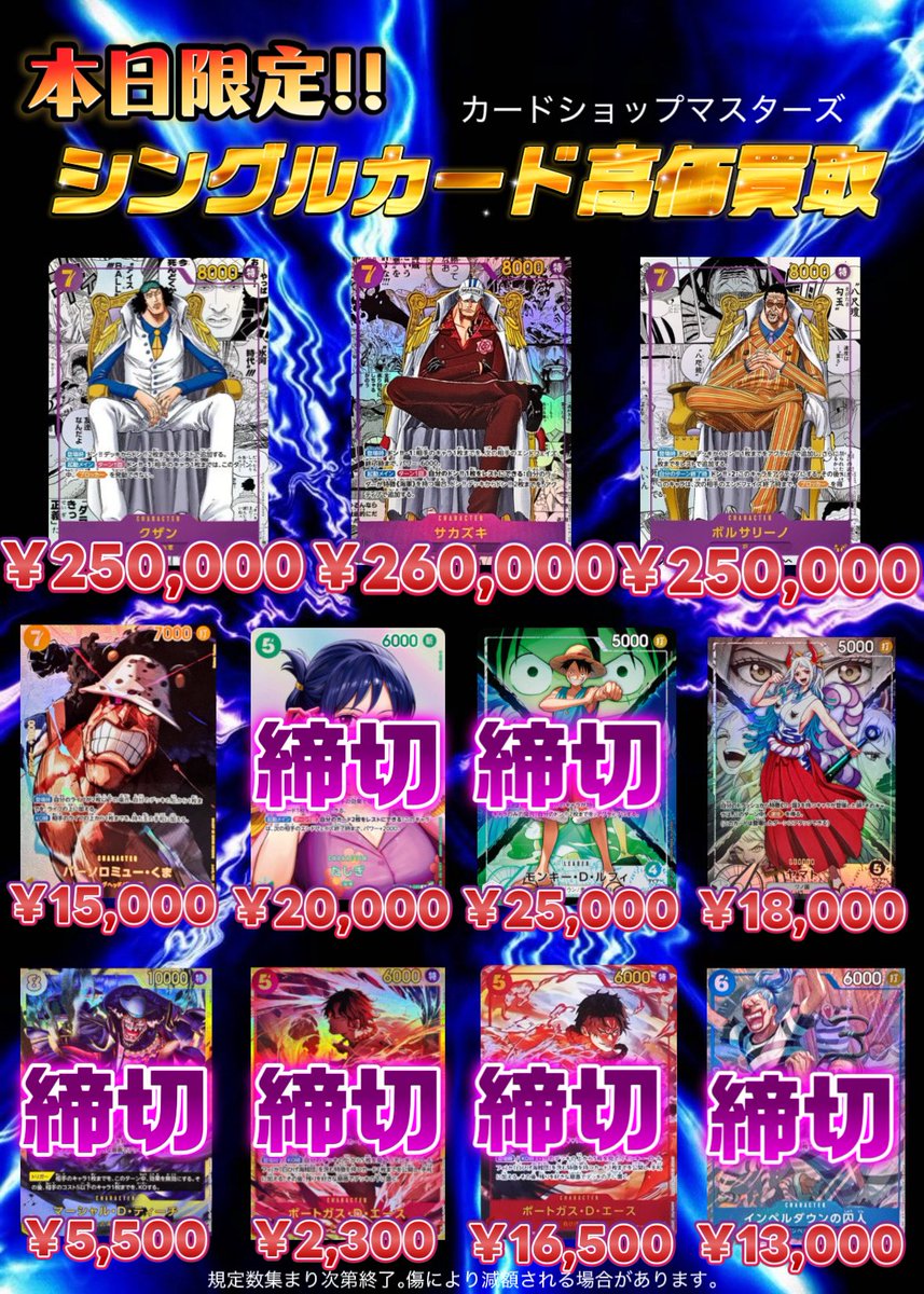 ヤマトリーダーパラレル 13000円に変更となります。