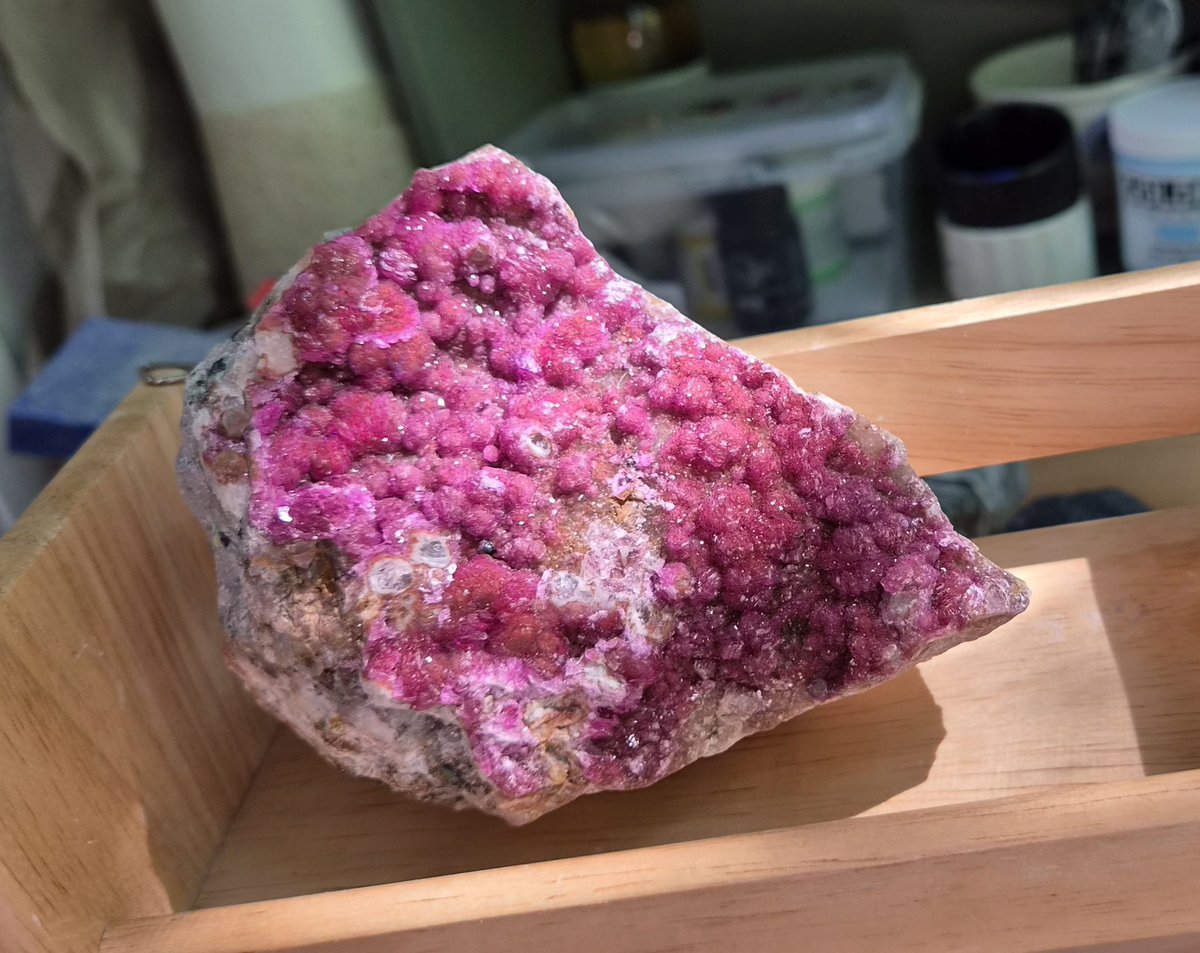 Loropapageno's tweet photo. Cobaltoan Calcite &amp; Rhodochrosite https://t.co/9jmfZ6ykMp