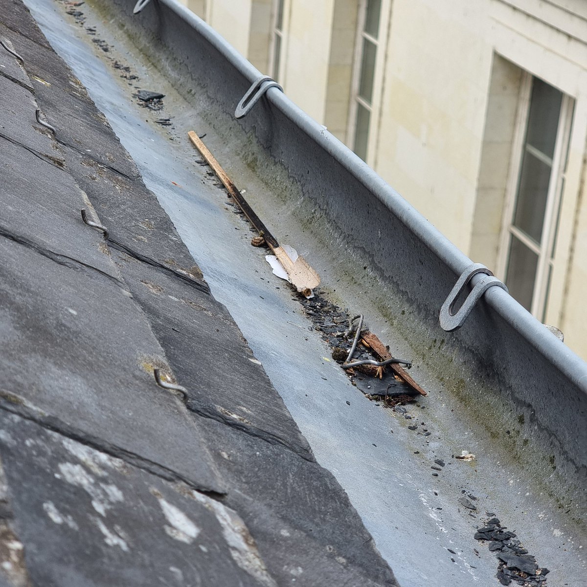 librexpax's tweet photo. Notre immeuble n'a pas pris feu.

#dégénérés https://t.co/zFv84ddvrg