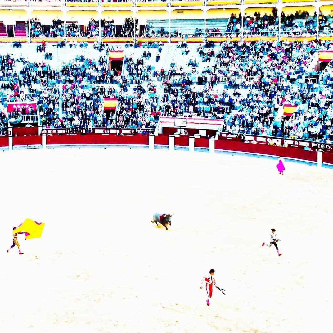 leopolderias's tweet photo. Año 10 d.C. (después de Cazarrata).

Hizo del ruedo un infierno blanco y de Sánchez Vara una leyenda. El toro que España somos en nuestra eternidad https://t.co/qybpHTIsly