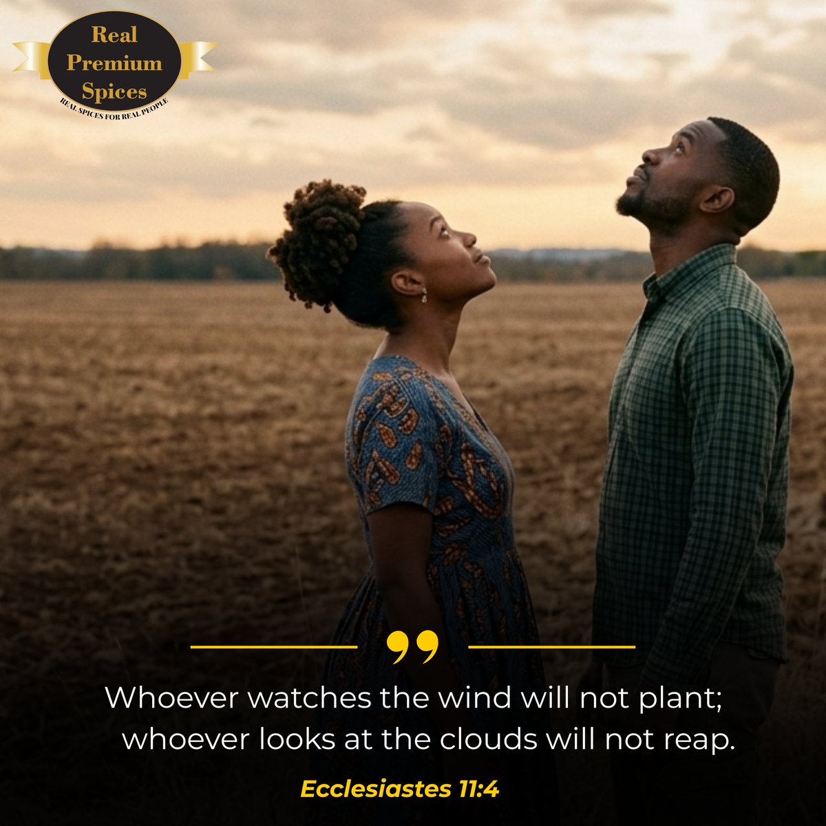 rps_global's tweet photo. Don’t wait for the "perfect" moment to elevate your meals—the time is now! 📷📷
Ecclesiastes 11:4 reminds us: "Whoever watches the wind will not plant; whoever looks at the clouds will not reap."
Seize the opportunity today and grab your favourite #RealPremiumSpices bottles https://t.co/lcpVN0me9L
