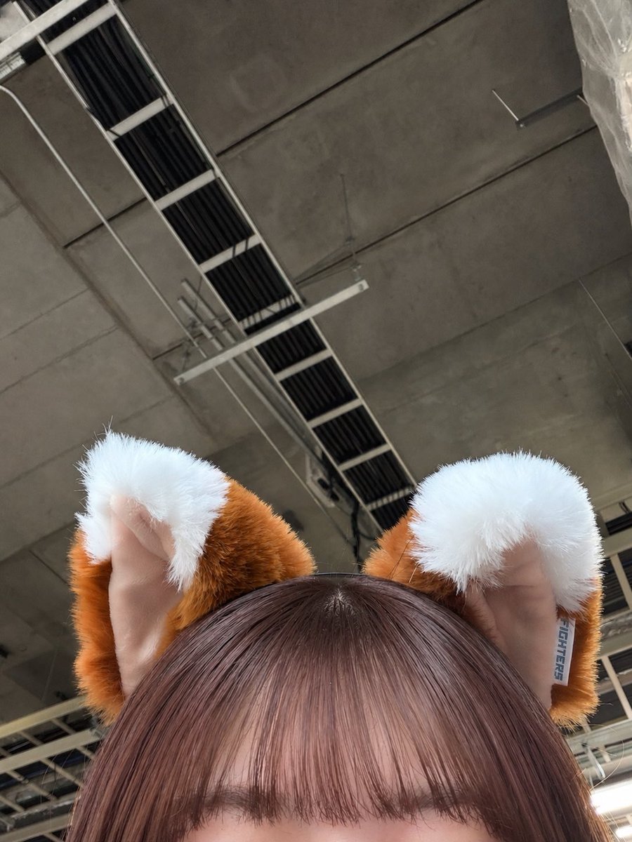 えな tweet media