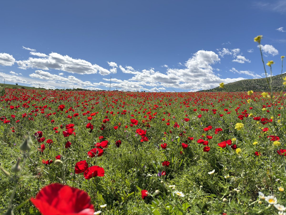 rmztks's tweet photo. “İçindeki sıkıntıyı ve hüznü hemen dağıtmaya çalışma.
Unutma ki bulutlar ağlamasa, yeşillikler ve çiçekler uyanmaz.”

Ebû Ali ed-Dakkâk https://t.co/cgcLcf5O7D