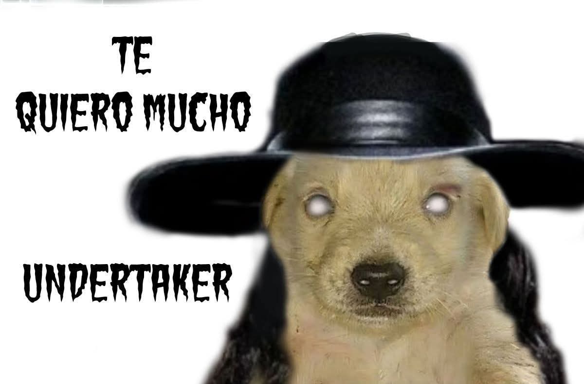 NOELALEXANDERGT's tweet photo. @undertaker https://t.co/lhZyBELOAQ