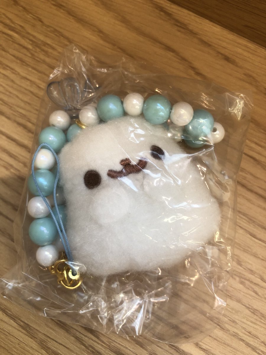 bu_byr's tweet photo. ポメラニアンもち ぬいぐるみチャームつきビーズストラップ ガチャガチャ 交換

【譲】おばけもち
【求】もち

本日池袋手渡し可能なかた
お気軽にお声掛けください。 https://t.co/jh6DZIZIpc