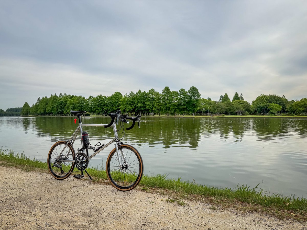 nobumillenia's tweet photo. 蓮も菖蒲も暑くなる前に☺️

#minivelo
#Fujibikes
#Fuji
#HelionR

#水元公園 https://t.co/BkH5v1gsug