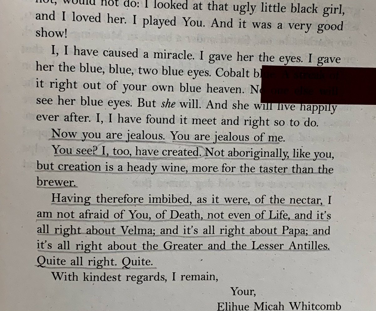 vojneglyph's tweet photo. A few passages from The Bluest Eye by Toni Morrison that stayed with me. What an insanely lyrical and devastating debut novel https://t.co/EgLebKpA2K