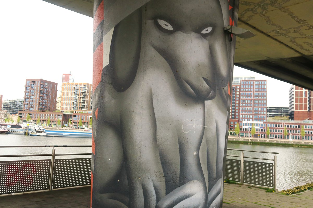 beerfollowers's tweet photo. Daily street art #570 #Rotterdam #rotjeknor #ZuidHolland #Nederland #followthebeer #StreetArt #streetphotographer #streetstyle #streetphotography #streetphoto https://t.co/00R6f7wwlL