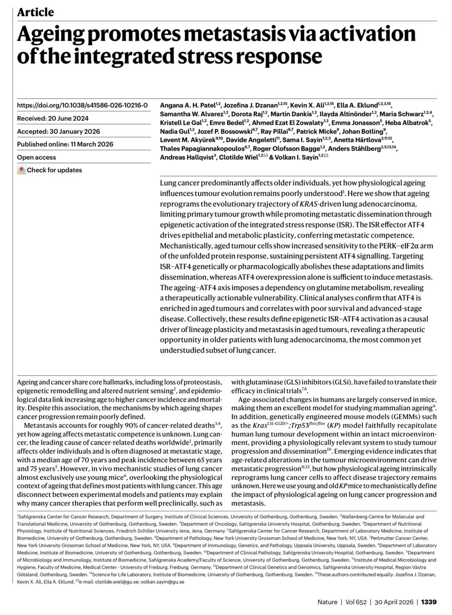 imedverse's tweet photo. Ageing promotes metastasis via activation of the integrated stress response. @nature #ASCO26 https://t.co/Coe6iyKrnl