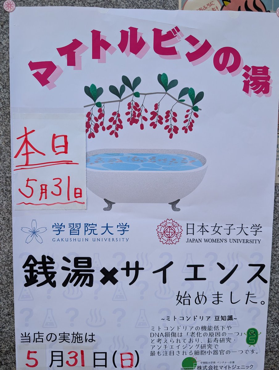 choujayu's tweet photo. いつも長者湯ご利用ありがとうございます♨️
本日5月31日㈰マイトルビンの湯の開催です♨️🤩
皆様お揃いでお越し下さい♨️✨ https://t.co/kNAhD0fbhe