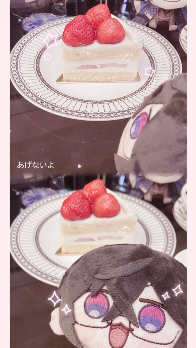 tomane__39's tweet photo. 最近お迎えしました！>  ̫< ♪これからいっぱい連れ回すぞ~~ ♪ 
#ちいさきしきなぎ2026 https://t.co/zWPjBz8BYL