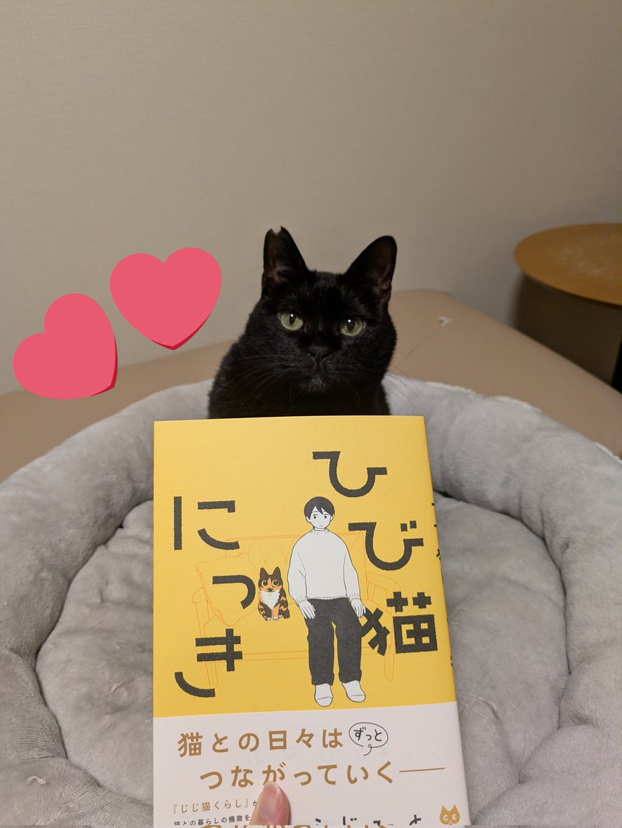 bumpasuto's tweet photo. ふじひとさんのサイン本が届きました！✨さびちゃんのお顔まで描いてくださっててとっても嬉しい、大切にします😌

喜びあまって、ひとまず我が家の猫ちゃんずと写真撮影しました📸 https://t.co/JDtjS6WxBY