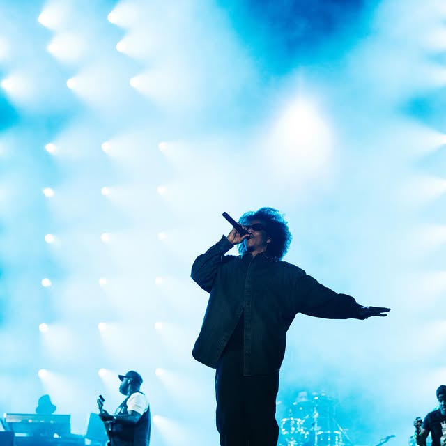 HOV_DID🐻 tweet media