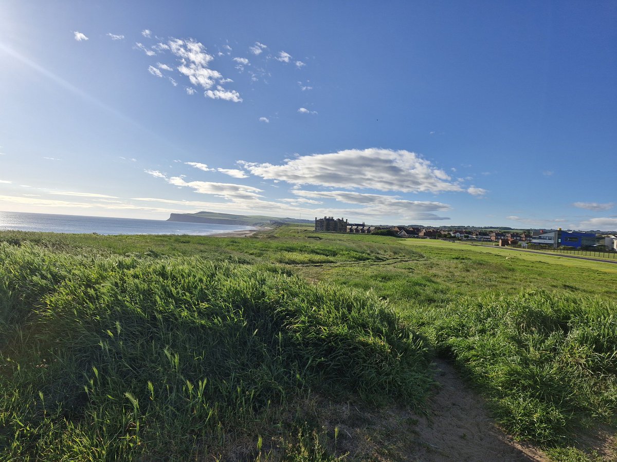 SCANNERMAN tweet media