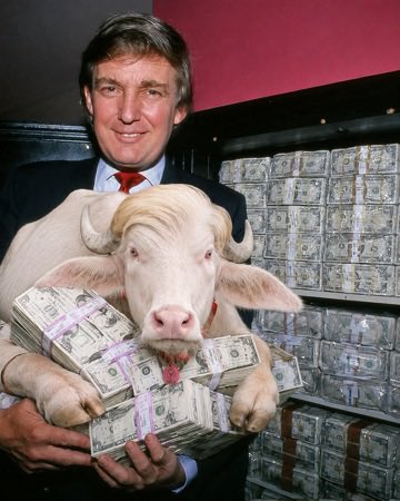 Scarface tweet media