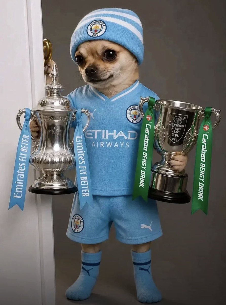 themancitylad tweet media