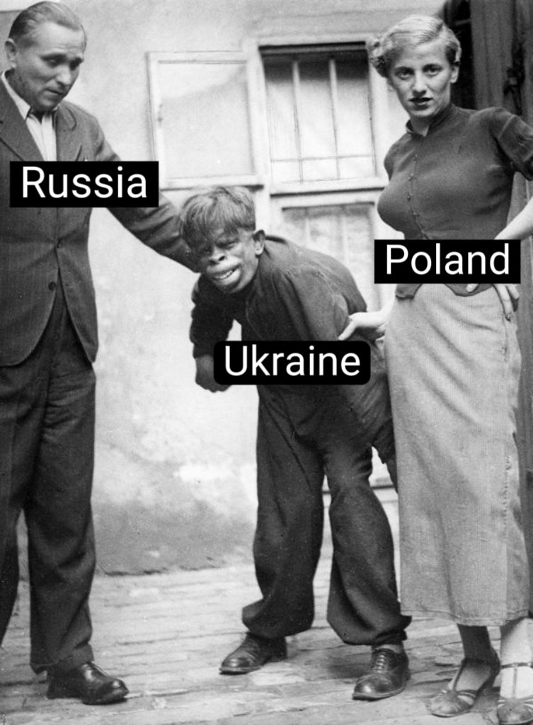 Dzika Quna #głupirazem tweet media