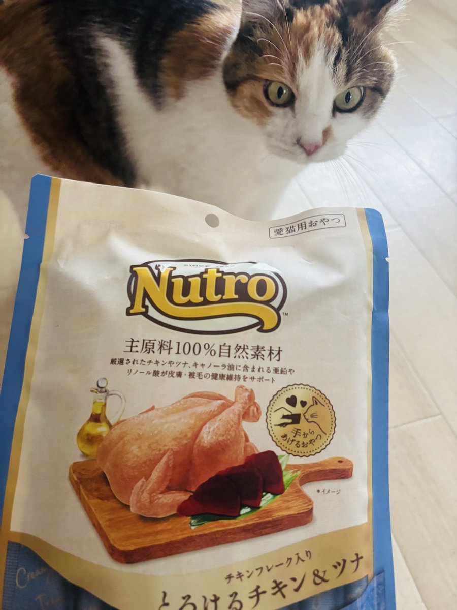 kuronuma_s's tweet photo. ねこちゃん https://t.co/3C0jSd8BWu
