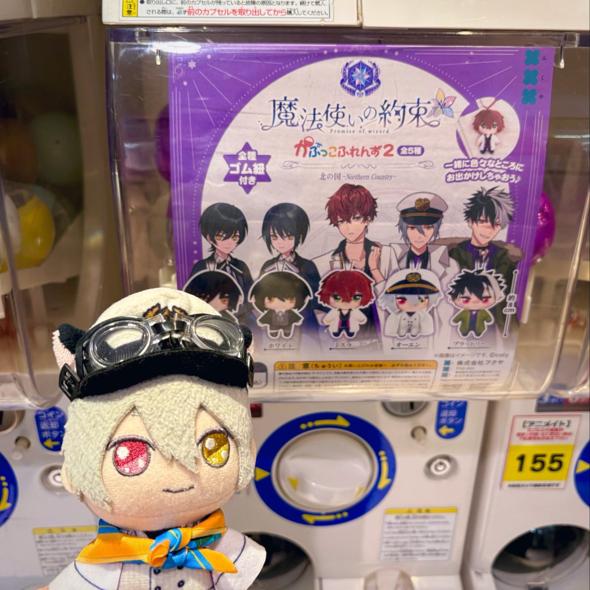choco_nui's tweet photo. ねえ、出してっていってるよ
（はしっこ記念にまわしていく）
#まほやく_ぬい https://t.co/vXBSIRiKJm