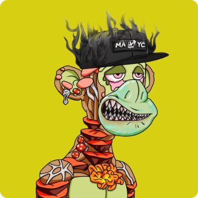 qpatcha 🦍 tweet media