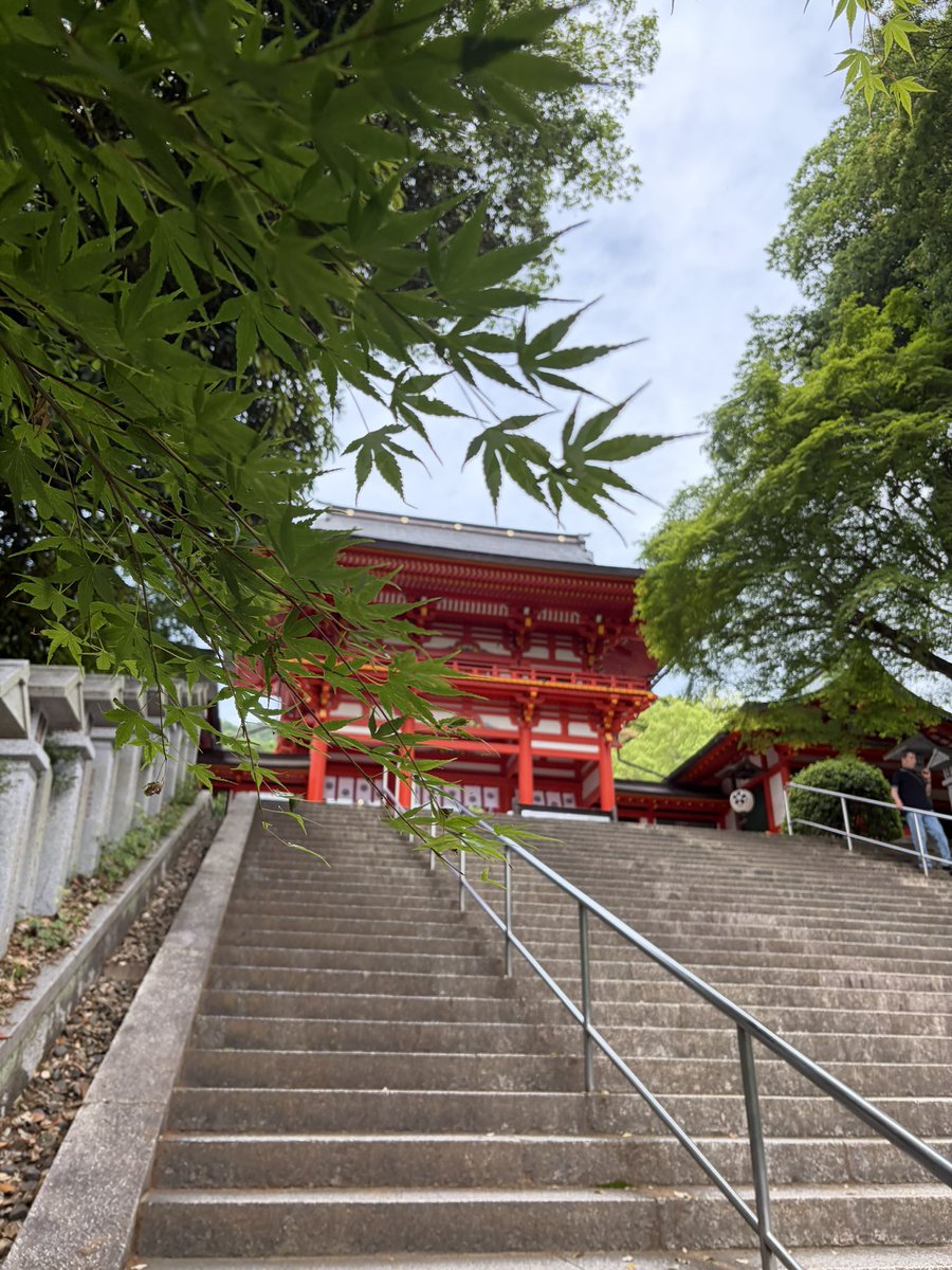 uzuray's tweet photo. 近江神宮さん
流鏑馬を行う道をあるいて朱色の門を抜けると拝殿があります。
とても清々しくて良い場所でした⛩️ https://t.co/FYEUIYAbBq