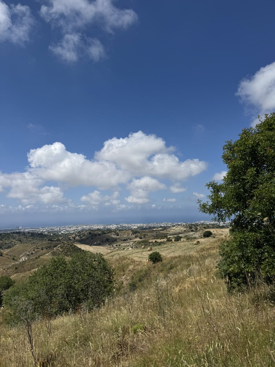 olinold's tweet photo. @TejasGupta67820 I took my 3 dogs and moved to the backyard of Cyprus 🇨🇾. Can recommend 😎 https://t.co/vgZI0zzZ0d