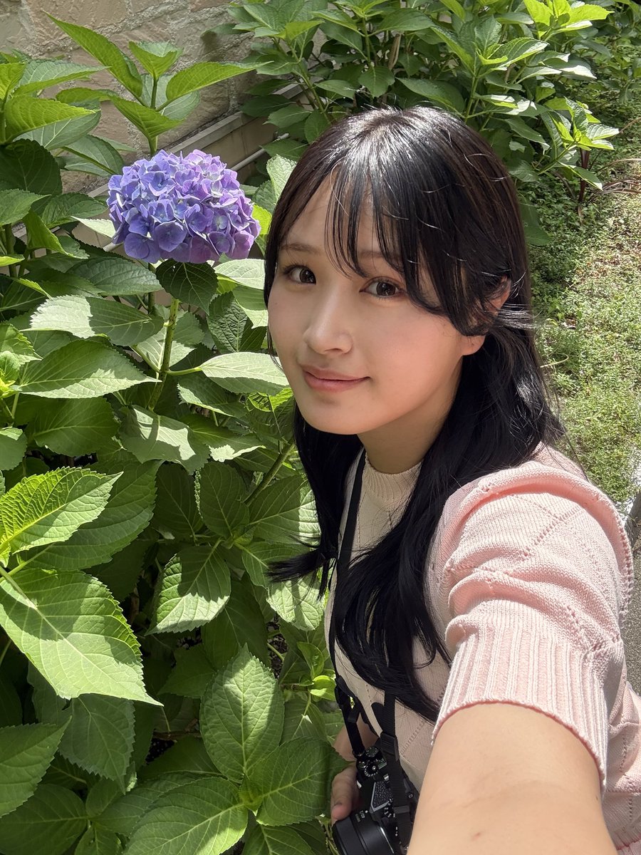 pi____777's tweet photo. . 今年初紫陽花発見しました💠嬉しい！！ https://t.co/l8Yn8RvmNN