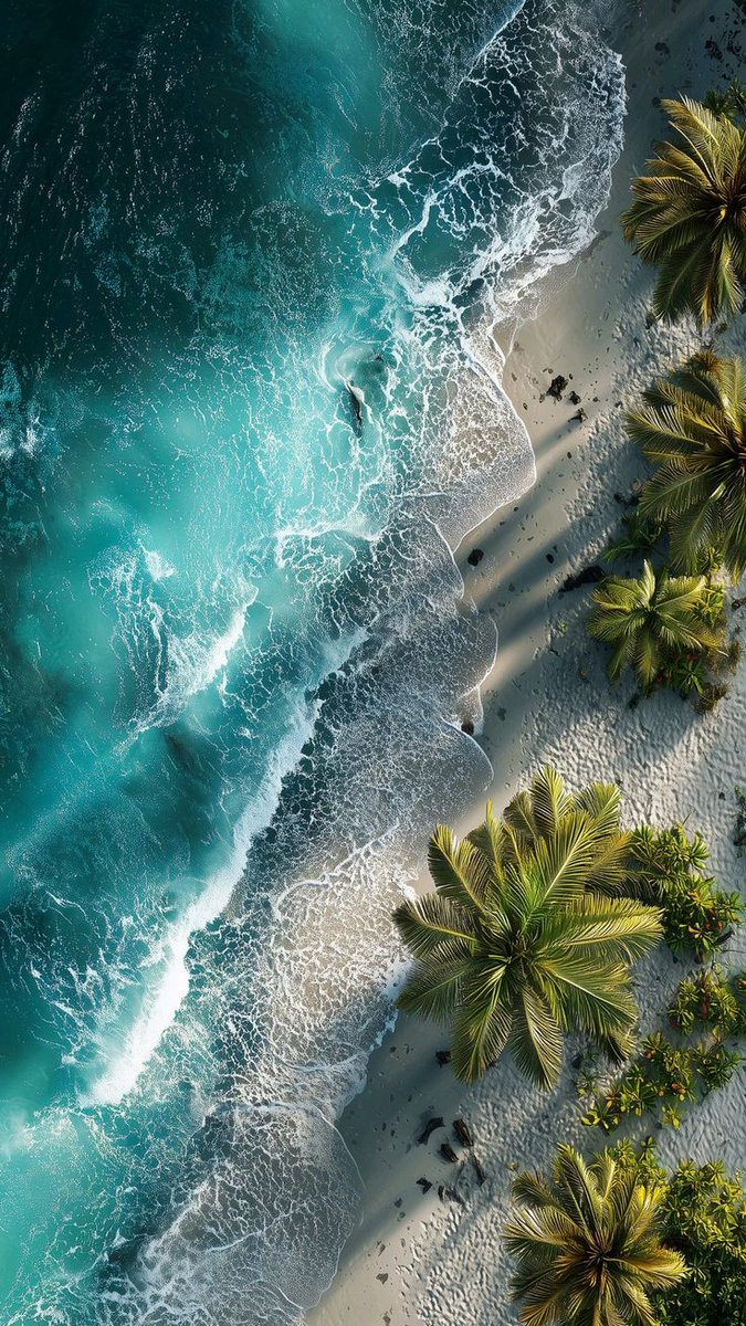purenature_1's tweet photo. Beautiful beach 🩵💙☀️ #holiday https://t.co/mnuCd3CR2x