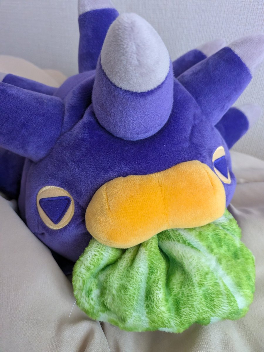 nasuemon1345's tweet photo. キャベツウニ https://t.co/M7RUxaUV0Y