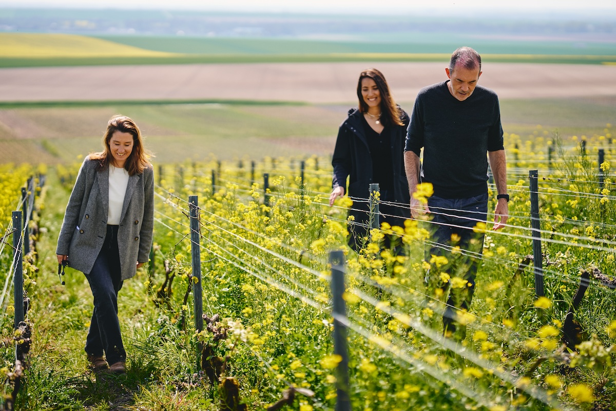 TheBuyer11's tweet photo. Decreasing harvest yields, increasing climate pressures and degraded soils from conventional agriculture have encouraged Champagne Perrier-Jouët to embark on a regenerative agriculture programme that could change the face of the entire Champagne region.  https://t.co/MoCcwP6Yt6 https://t.co/nsxcQg7AbJ