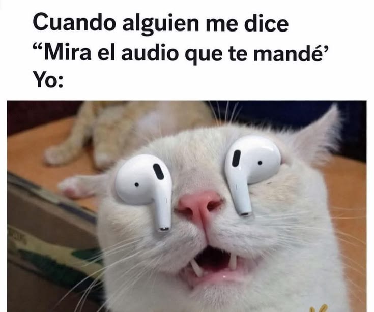 ANIMALITOSSANA's tweet photo. https://t.co/6IRQnLF6uo