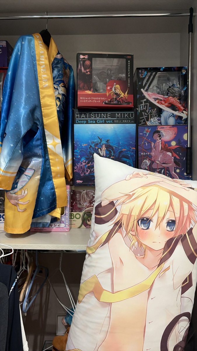 nemokkol☆彡 tweet media