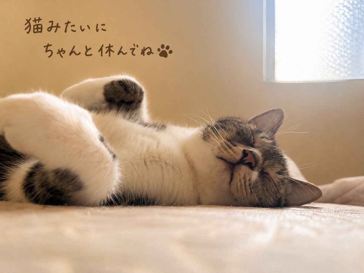 尷尬系女子 tweet media