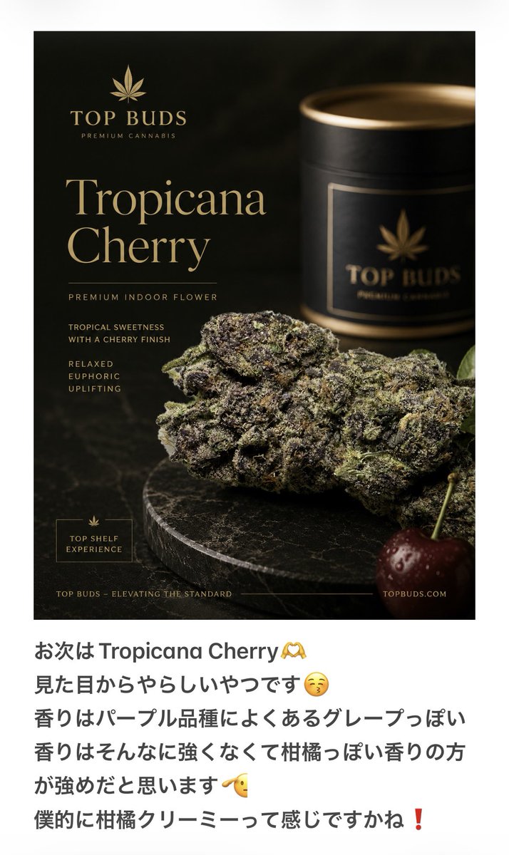 hanagasuky's tweet photo. @topbuds456 @topbuds_pic @tb_giveaway Tropicana Cherry、こちらも複雑な香りが絡み合って素敵すぎるお花でした🙏
ここ最近のパープル系の中でも好きなやつです🔥🔥🔥

心地よすぎるやつ🫶 https://t.co/sdybh3E9NM