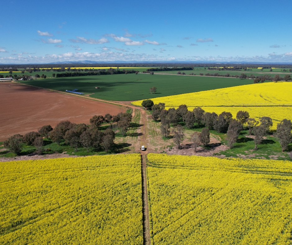 RiverinePlains's tweet photo. Carbon projects can feel complex, but they may also present practical opportunities for your farm business. Eligible farmers can now access a free carbon project feasibility assessment through the Riverine Plains Low Carbon Landscapes project.

To be eligible, farms must:
✔️ Be located in Greater Hume, Lockhart, Federation, Berrigan or Murrumbidgee Irrigation Fringe
✔️ Be at least 500ha
✔️ Have an interest in practical carbon opportunities within the farm business

Places are limited, register your interest early 👉 https://t.co/saZQ5whgV3

Supported by the NSW Government through a Low Carbon Landscapes grant. #nswdcceew