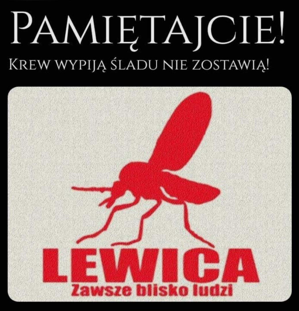 Majka z 🇵🇱 #dlaPolski tweet media