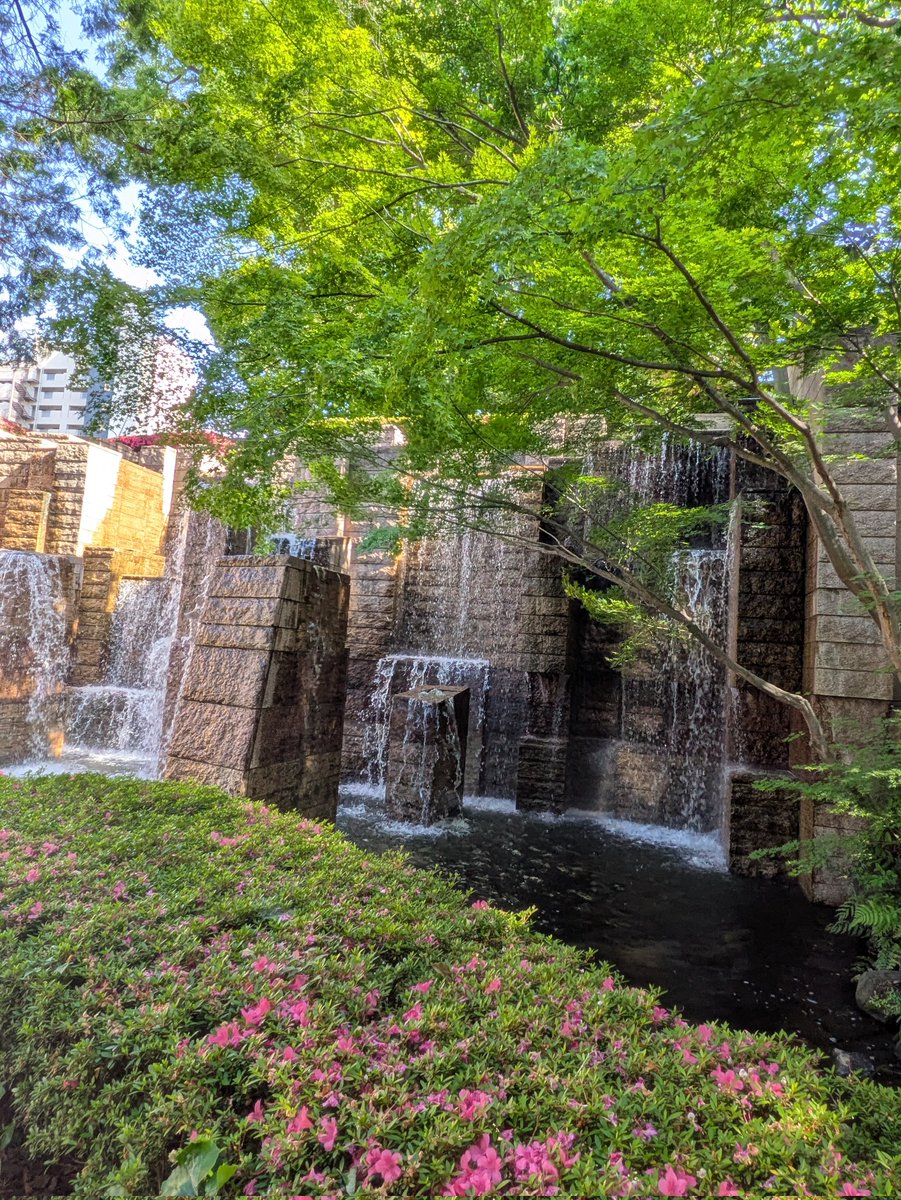 Sei_engineer's tweet photo. 御殿山庭園に行って品川神社に行って、そこから北品川の商店街に

来週例大祭があるらしく祭りの準備をしてた https://t.co/yDMlkjCv8g