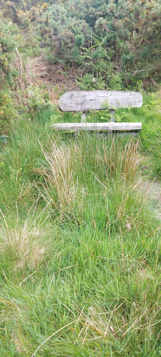 Grenoside's tweet photo. #Sundaybench x 4 - Derbyshire style! 
Ingenious creativity, well maintained, sitting perfectly in their environment, fantastic views, and very comfortable too! 👍
The first one's my fave. 😊 https://t.co/0Ty2w84yrB
