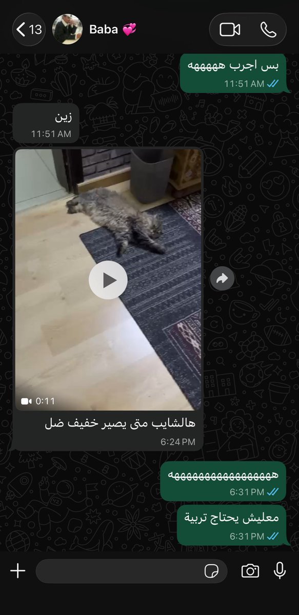 Raneem. tweet media