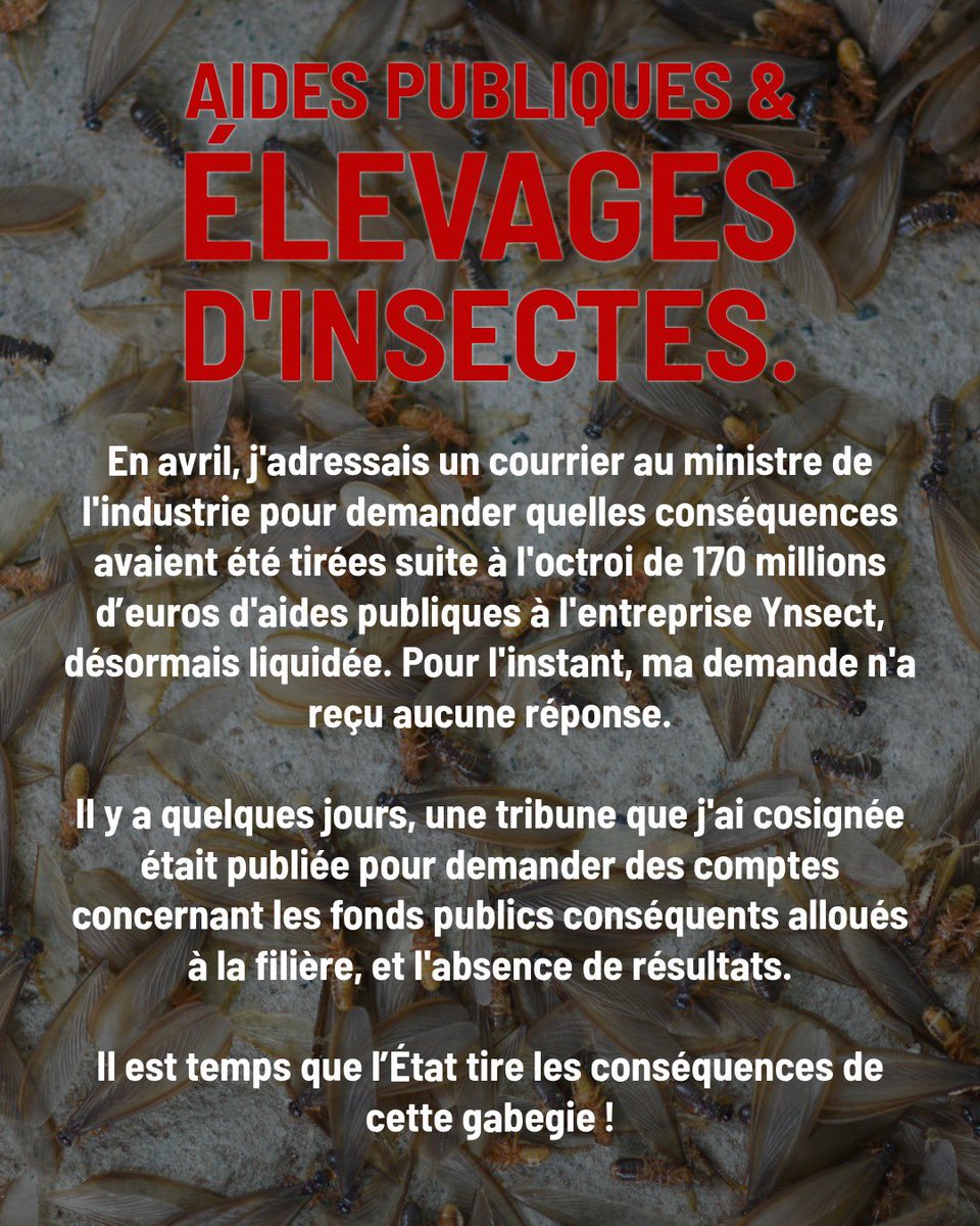fabien_gay's tweet photo. 170 millions d’aides publiques ont été accordées à l’entreprise Ynsect, désormais liquidée.

J’ai signé un courrier et une tribune pour demander des comptes concernant cette subvention à cette filière et l’absence de résultats. https://t.co/X21H3lyK5x