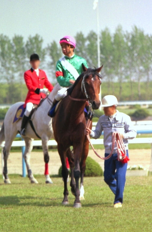 競馬インフォメーションクラブ(個人で運営) tweet media