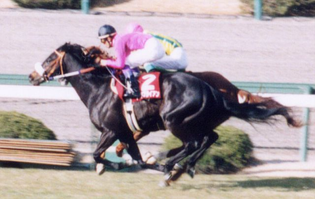 競馬インフォメーションクラブ(個人で運営) tweet media
